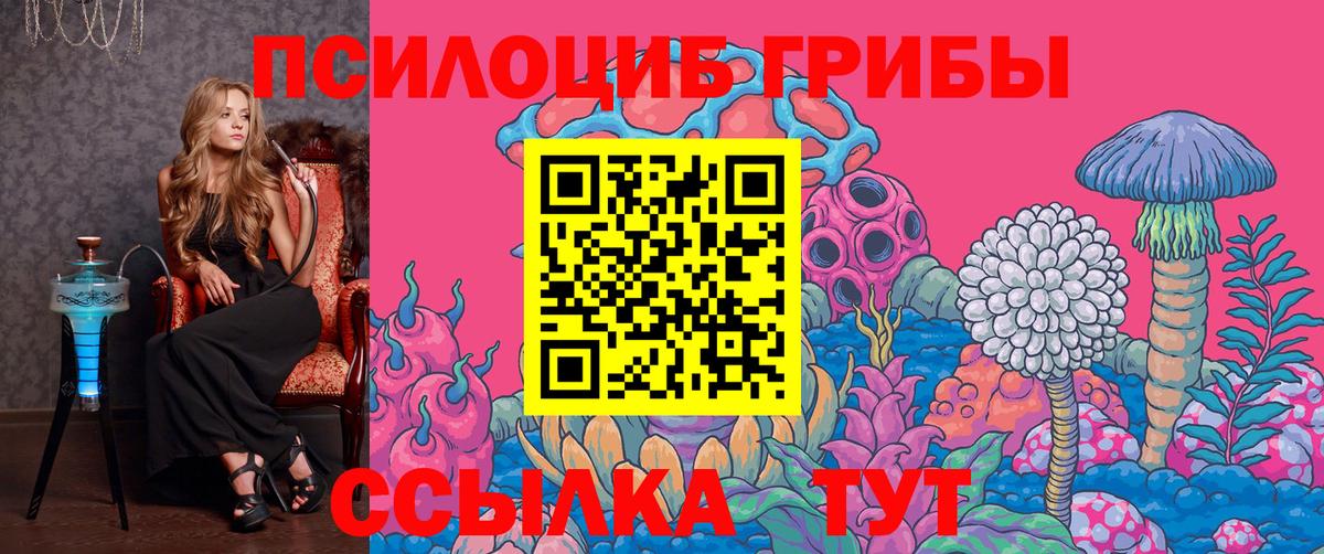 Галлюциногенные грибы Psilocybine cubensis Артём